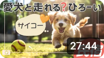Youtube時間表示と文字被りの例