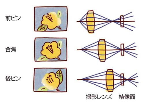 業界用語 | ピント