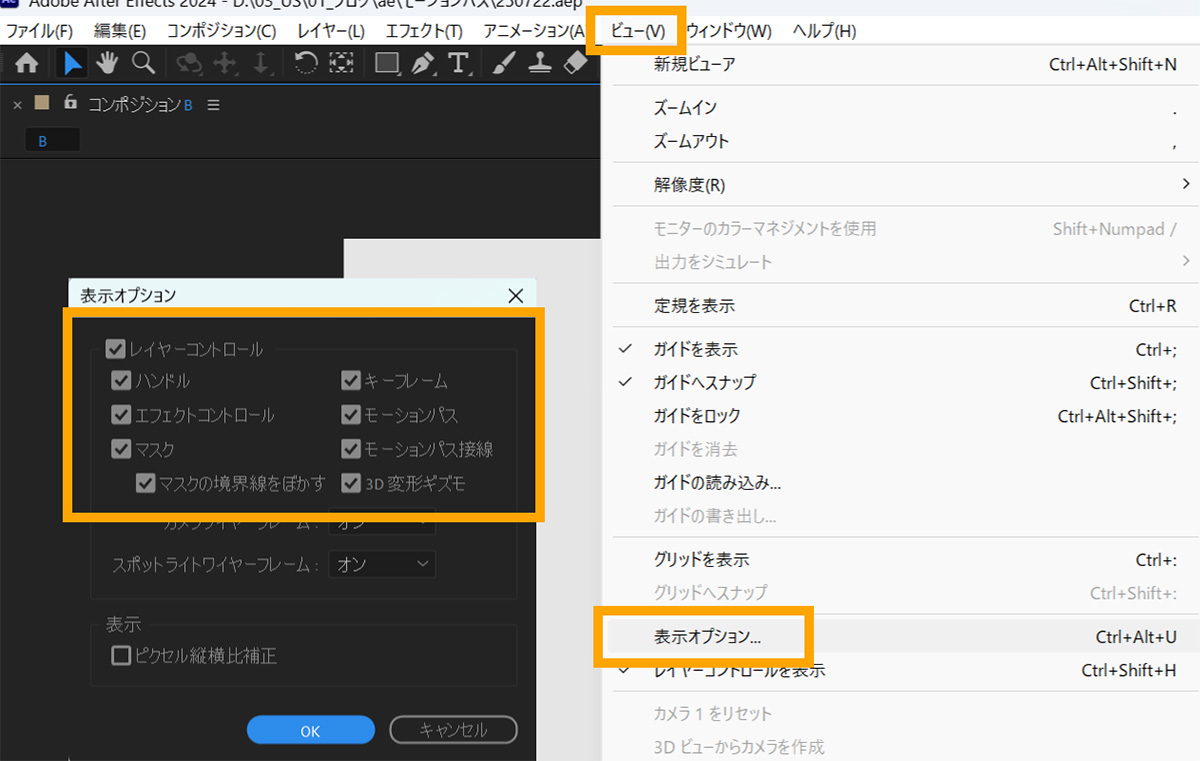 表示オプションの表示とチェックを入れる箇所｜AfterEffects（アフターエフェクト）
